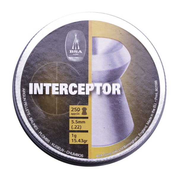 BSA Interceptor .22 Hollow Point (250)