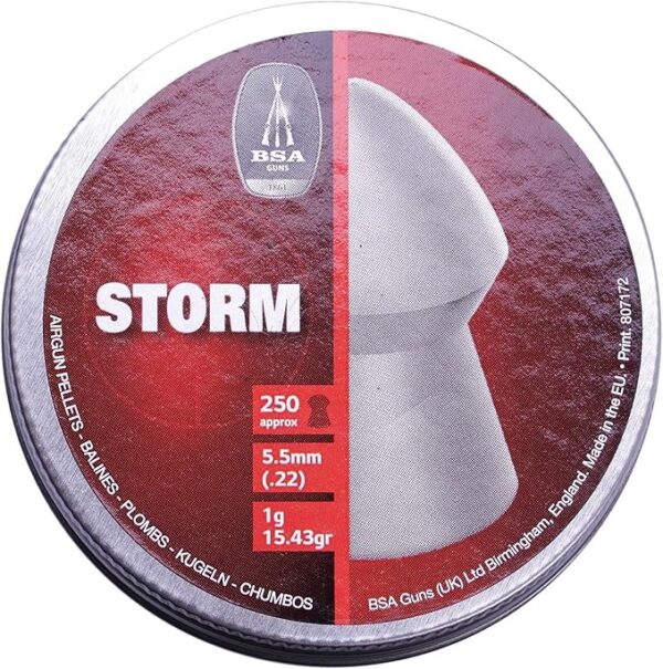 BSA Storm .22 Domed Pellets (250)