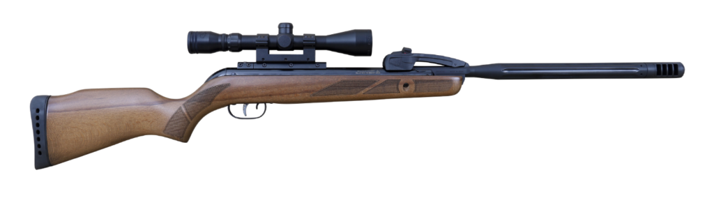 Gamo Varmint Swarm Multi-Shot .22 Spring Air Rifle with Scope (Wood)