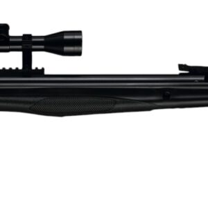 Beeman 10619 .177 Spring Air Rifle with Scope (Black)